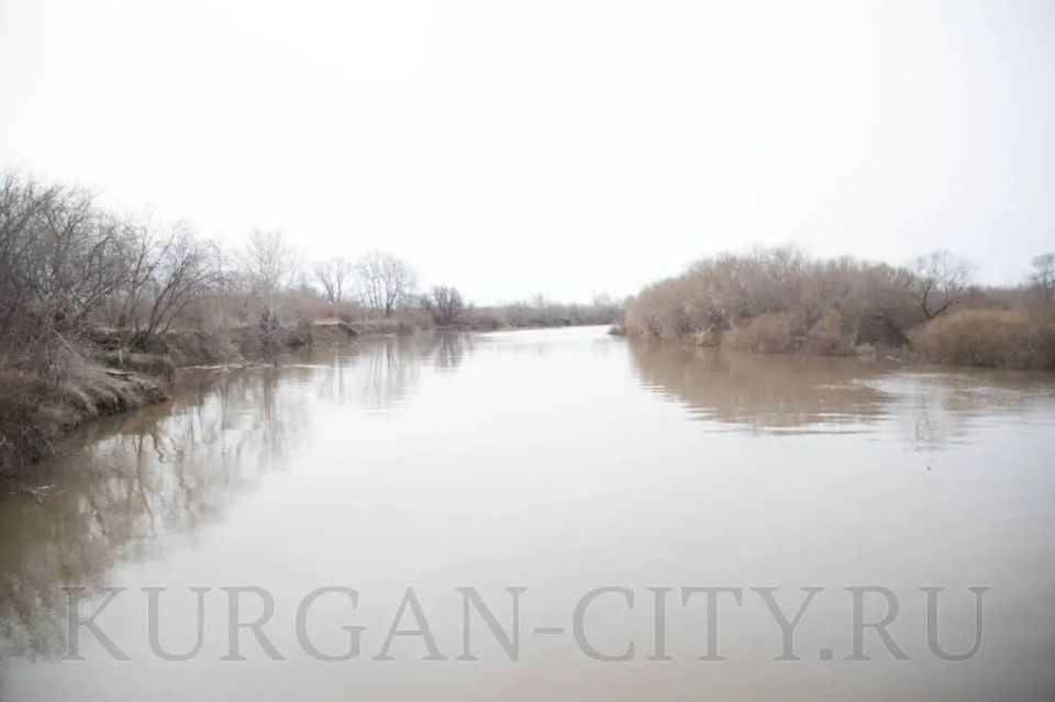 ������� � ������ ����-����������� ����� ���������� ������ �� ��������� ������ ��� ����������� ������������� ����������� ��������� ���������