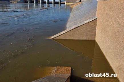 В одной из рек Курганской области уровень воды за сутки вырос на метр