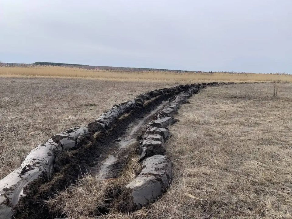 �� ���������� ������ ������������ �������� ����������� �� ����������� �������� ������������