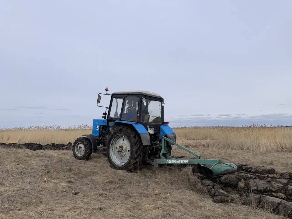 �� ���������� ������ ������������ �������� ����������� �� ����������� �������� ������������