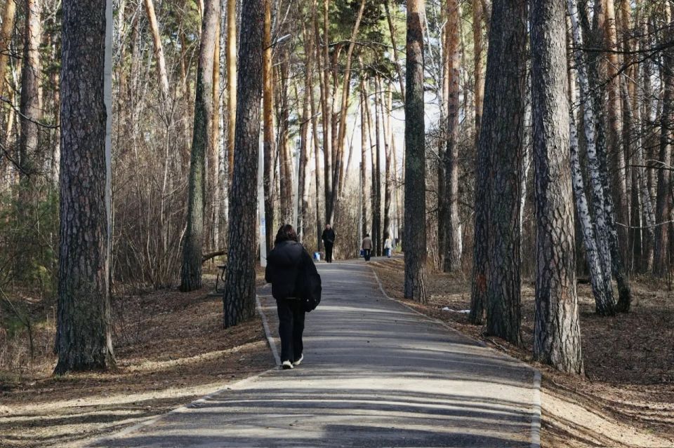 ���������� ����� ������ �������� ������ �� ������� ��������������� �������� � ���������