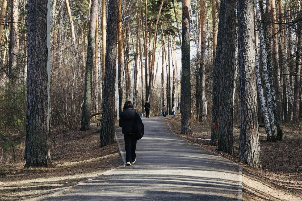 Губернатор Вадим Шумков поставил задачи по ремонту образовательных объектов в Шадринске Губернатор Вадим Шумков поставил задачи по ремонту образовательных объектов в Шадринске