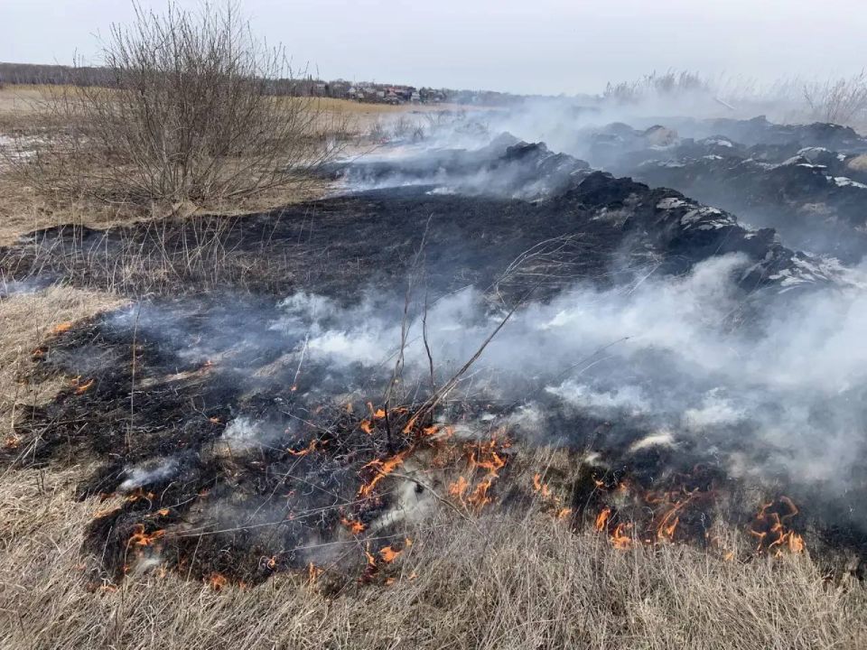 �� ���������� ������ ������������ �������� ����������� �� ����������� �������� ������������