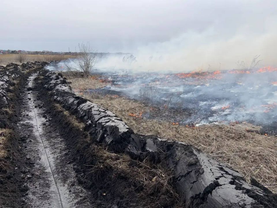 �� ���������� ������ ������������ �������� ����������� �� ����������� �������� ������������