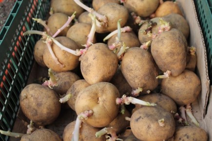 ��� ��������� �������� �������: ������� ����������� � ���������� �������