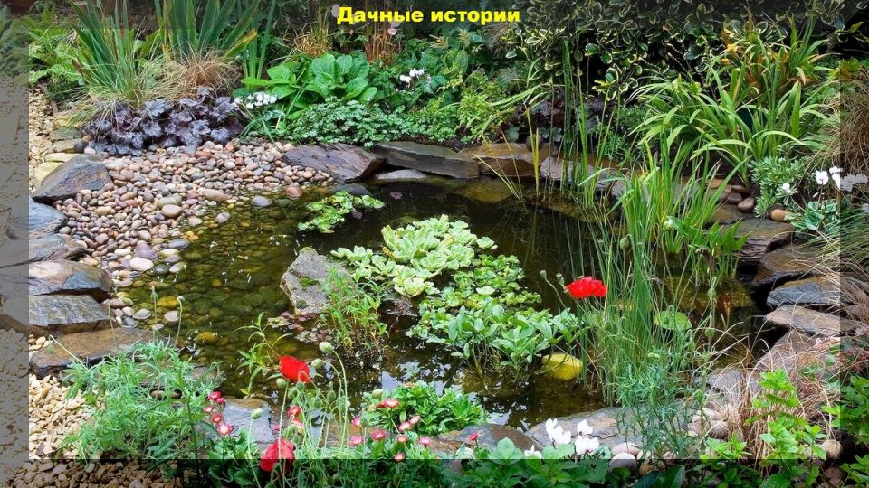 ��� �������� ���� ��������: ������ �������� ��� ������ �������