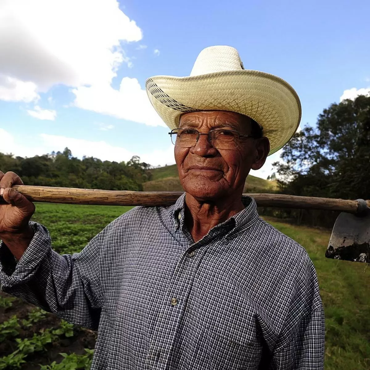 Как тяпка станет вашим незаменимым помощником в борьбе с сорняками и улучшении почвы