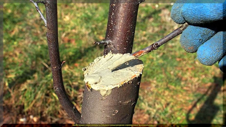 ��� ������ � �������� �������� ���� �� �������� ��������