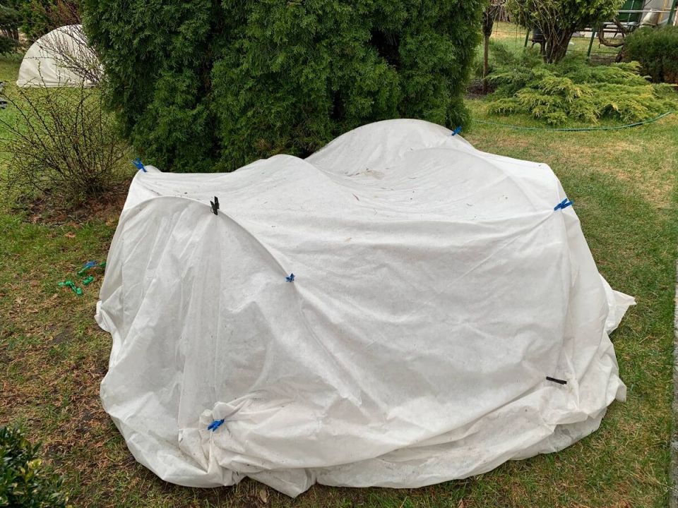 ��� ������, ����� ��������� ����, ��������� � �������: ������ ������� �� �������