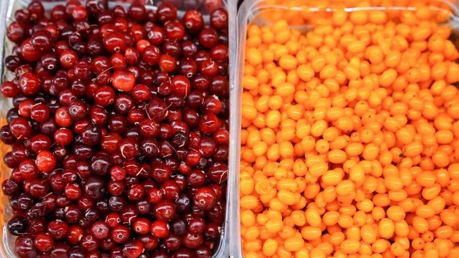 ��������, ������� ����� ������� ���� ����: ������ ���������