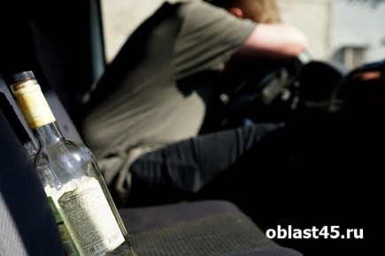 В Шадринске сотрудники ДПС задержали нетрезвого водителя после погони со стрельбой