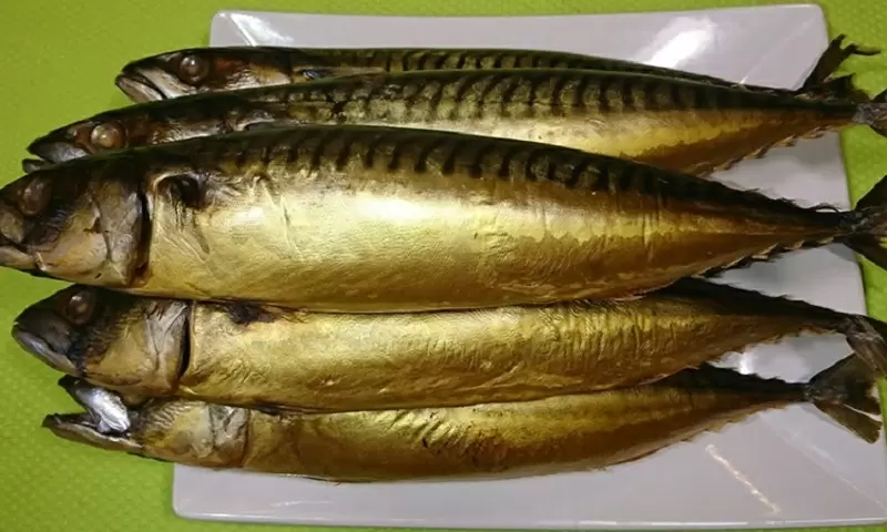 Копчение скумбрии: доступный и вкусный способ приготовить деликатес дома