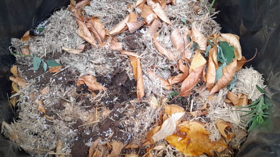 ���������������: ������� ���� � ������� �����