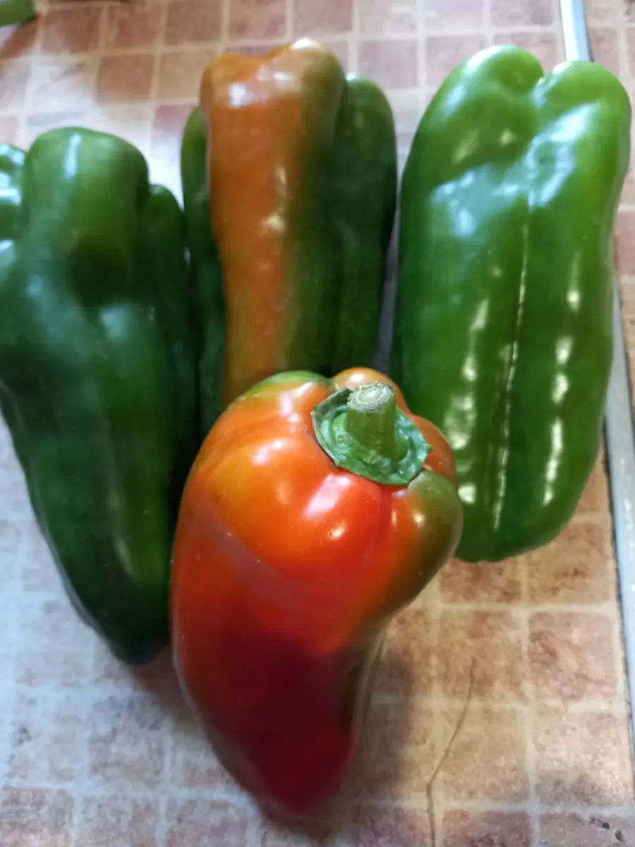 Секреты перцев: почему стоит обратить внимание на итальянские, венгерские и испанские сорта