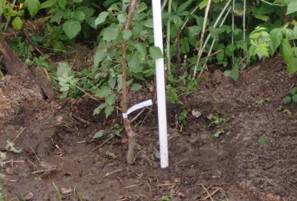 ��� ��������� �������: �������� �������� ����� �� ����������