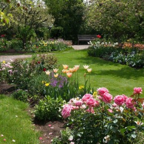 ��������-���������: ��� ������� ��� ��� ������ ���� ��� �����