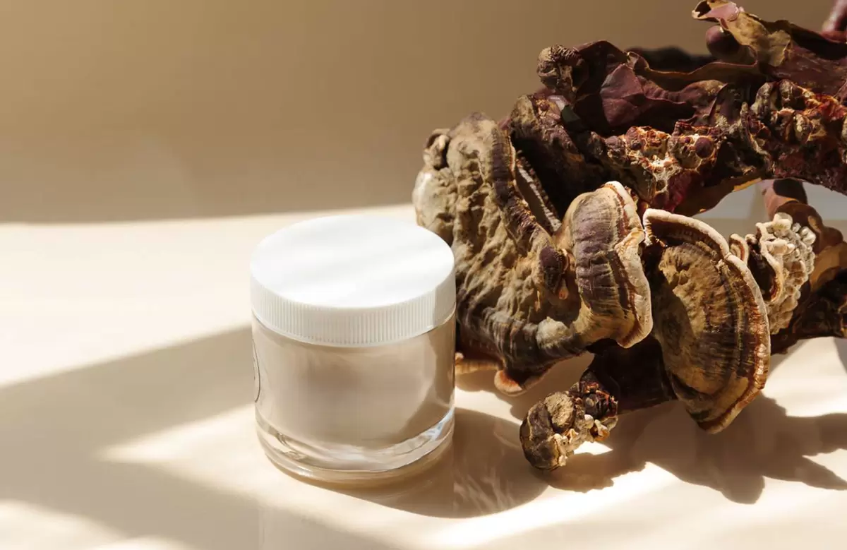 Ферментированные грибы: новый взгляд на уход за кожей