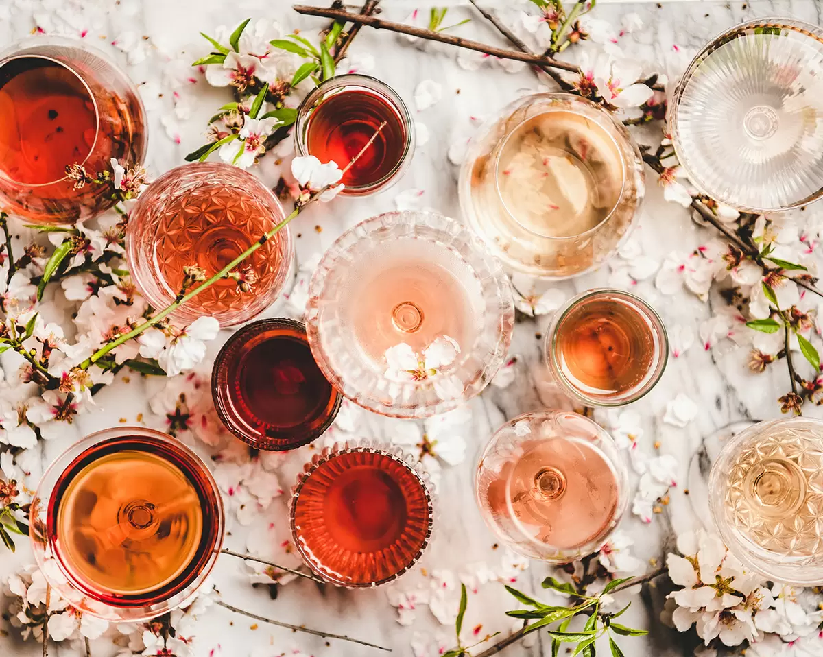 Вина для разных гендеров: как выбрать идеальный напиток