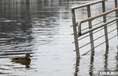 �� ����� ���������� ����� ������� ���� �������� � ��������������� ��������