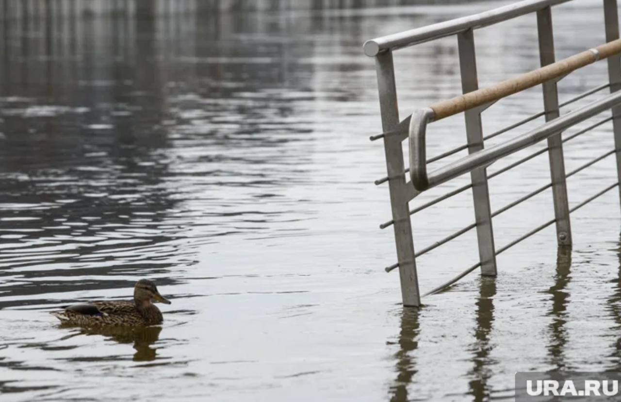 На шести курганских реках уровень воды близится к неблагоприятным отметкам