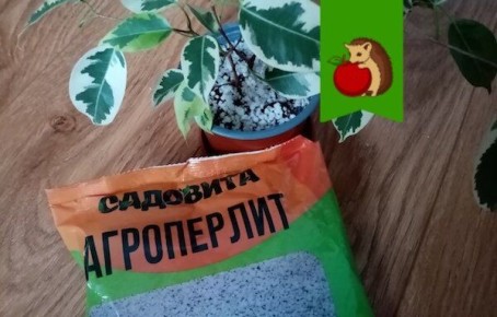 ������: ������������� �������� ��� ���������� � 5 ����������� �������� ����������