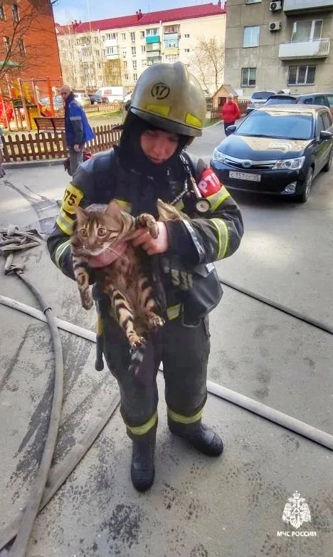 Непотушенный окурок - источник возгорания Непотушенный окурок - источник возгорания