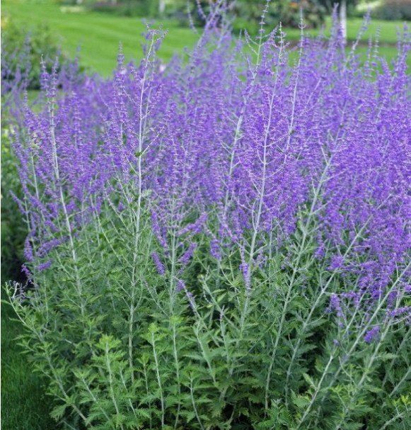 ���������: ������� ����� �� �������� ������� � ����� ����