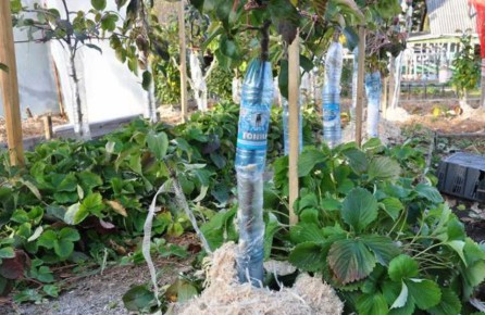 ��������� �������: ��� ����������� ������� �������� ������� �� ��������