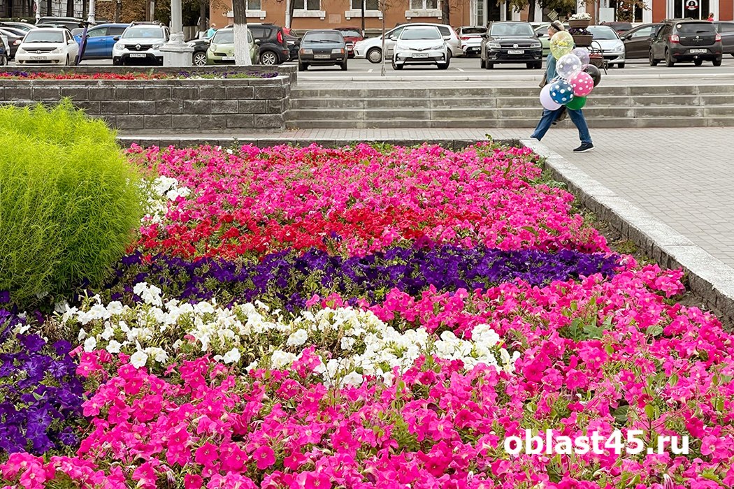 В парках Кургана высаживать цветы начнут 1 мая
