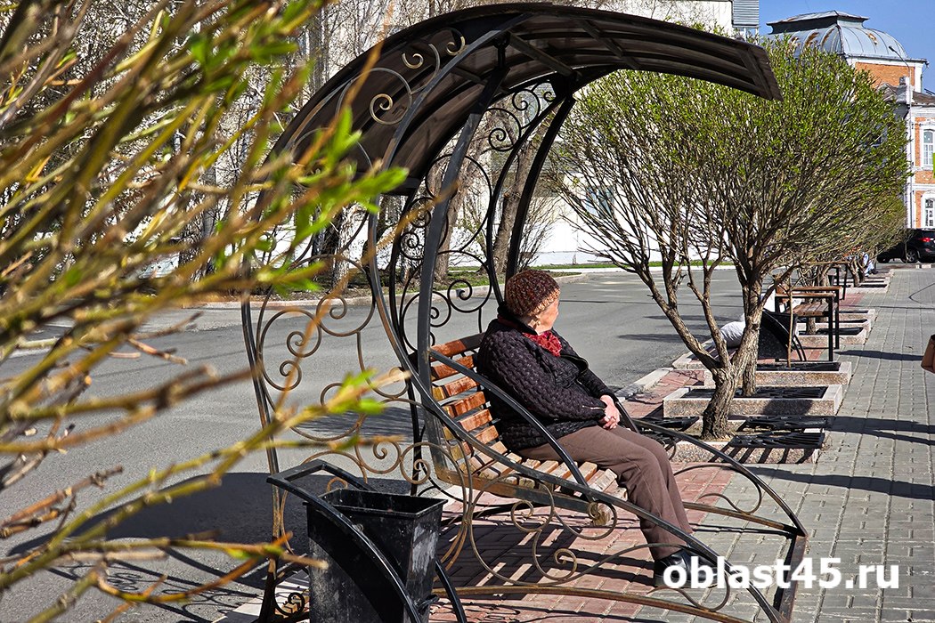 «Резину можно поменять»: как курганцы описывают долгожданную весну