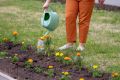 Наступила весна, а с нею ежегодно на общественных пространствах города начинается высадка зеленых насаждений
