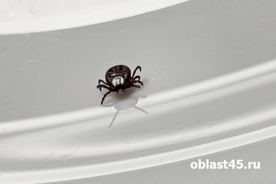 � ������� �� ����� �������� �������� ��������� ���������� �� ������