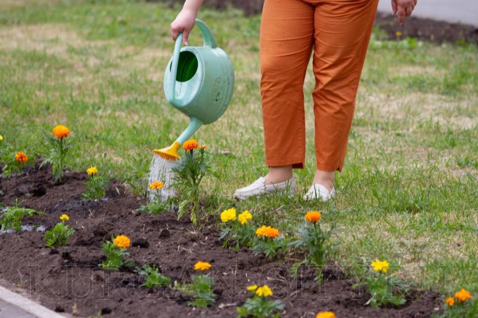 ��������� �����, � � ��� �������� �� ������������ ������������� ������ ���������� ������� ������� ����������