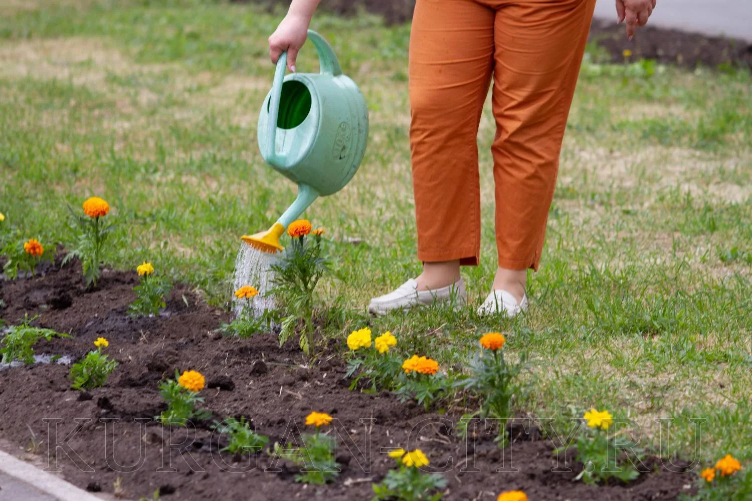 Наступила весна, а с нею ежегодно на общественных пространствах города начинается высадка зеленых насаждений