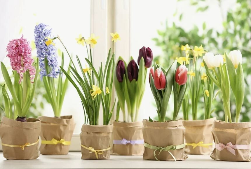 �������� ����� � ���� ���: ������ �� ������� ���������� �� �����������