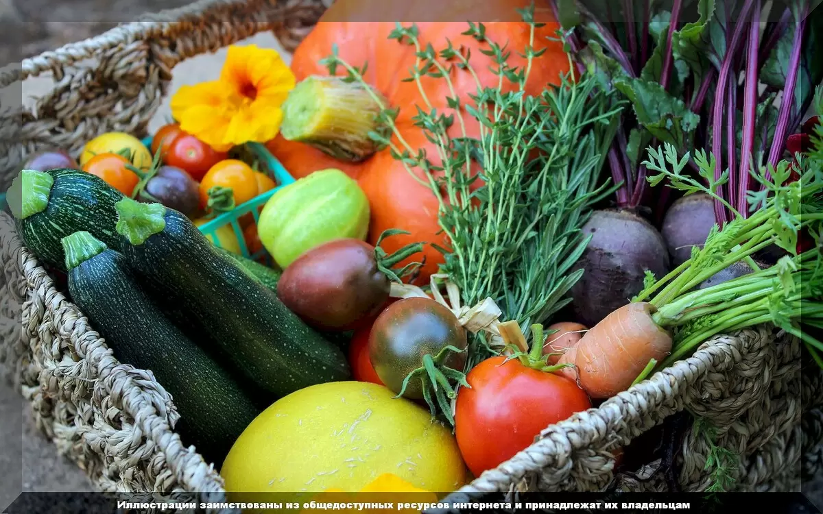 Август в вашем саду: секреты ухода за урожаем и осенние начинания