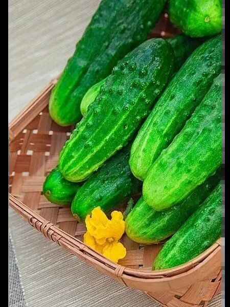 ������ ���������: ������������� ������ � �������� ������� ��� ������� ������