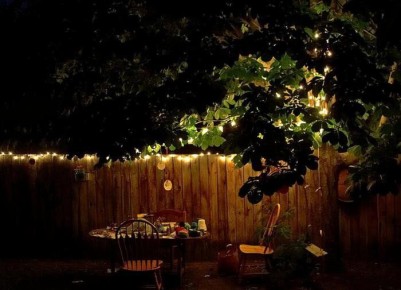 Лунный сад: как создать волшебный оазис для ночных прогулок