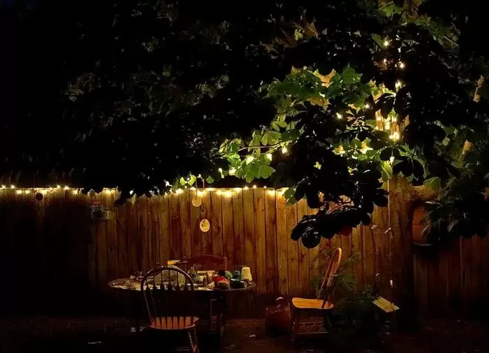 Лунный сад: как создать волшебный оазис для ночных прогулок