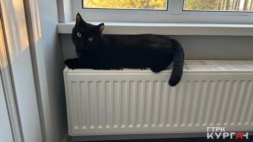 � ��������� ���� ������������� ������ � ������� �������� ����������� �� ���������