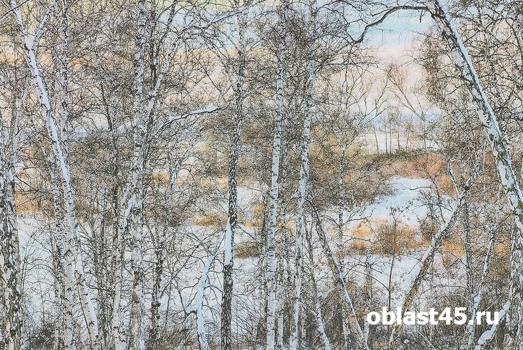 Главный аллерген средней полосы России может активизироваться раньше срока