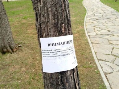 Курганский Горсад и несколько общественных территорий обработали от клещей