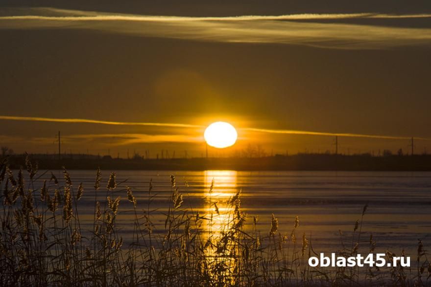 ���� 43-������� ������ �������� �� ���� � ���������� �������