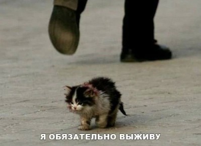 ��������� ���� ������� ������ � ����� ������