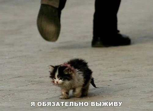 Магнитные бури накроют Курган в конце недели