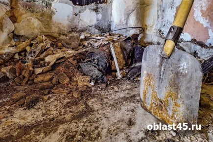 � ���������� ������� ������� ��������