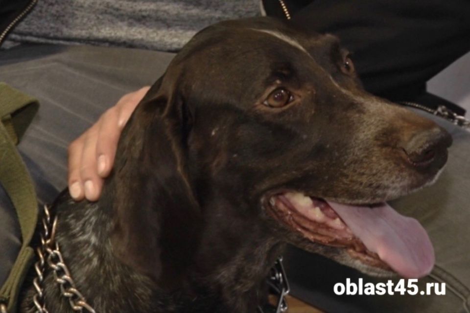 ��� - ������� �������: ���������� ���������� � ������� �������� ��������� ��������� ������ �� ��� 4 ����