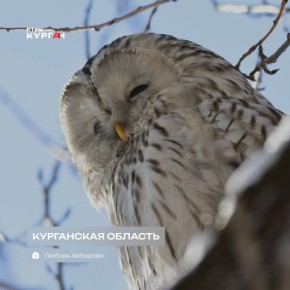 ������ ����, ���������!. ���� � ������� ��������� ������� ����� ������ ��� �������