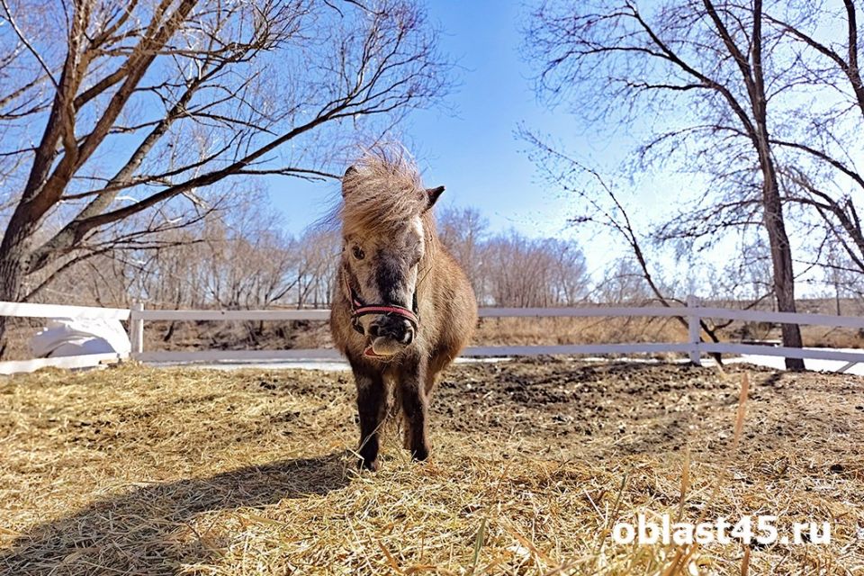 � ������ ������� 9 ��� �������� ������� �� ������� � ����