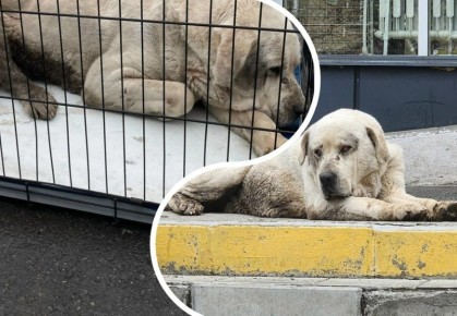 � ������������� ���������� 2 ������ ����� ������ ����� � ������